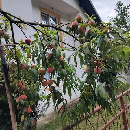 Apartamento Nurka