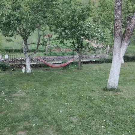 Apartment Nurka Orasac
